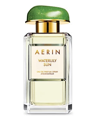 AERIN Waterlilly Sun 